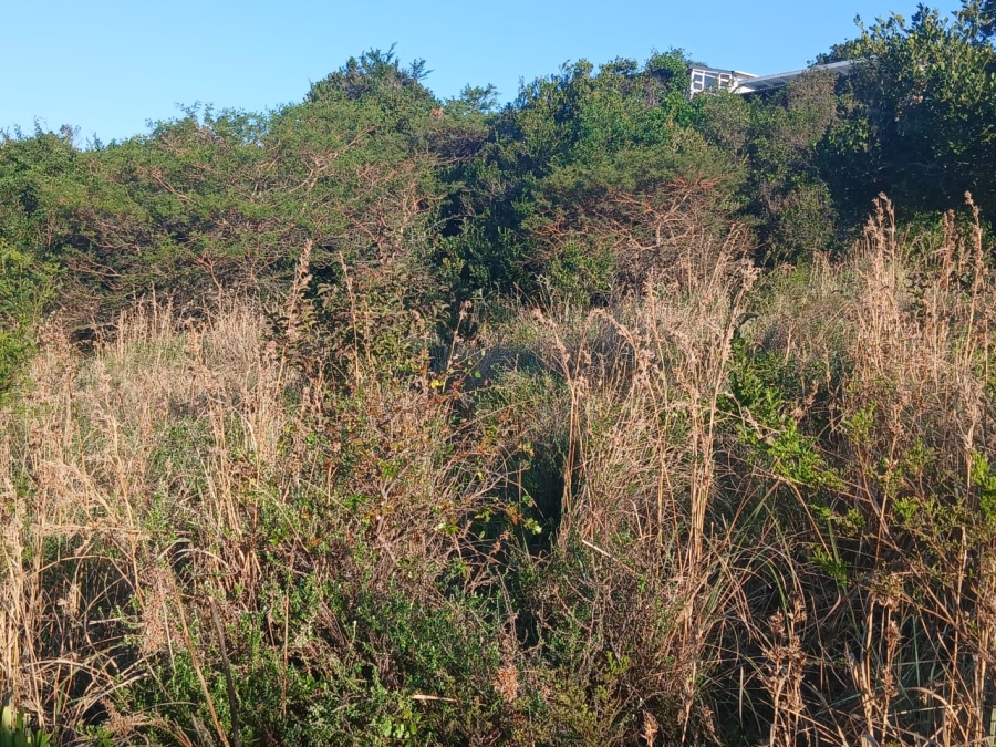 0 Bedroom Property for Sale in Morgans Bay Eastern Cape